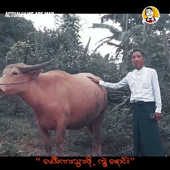 Gwam Si Ton Meme #8